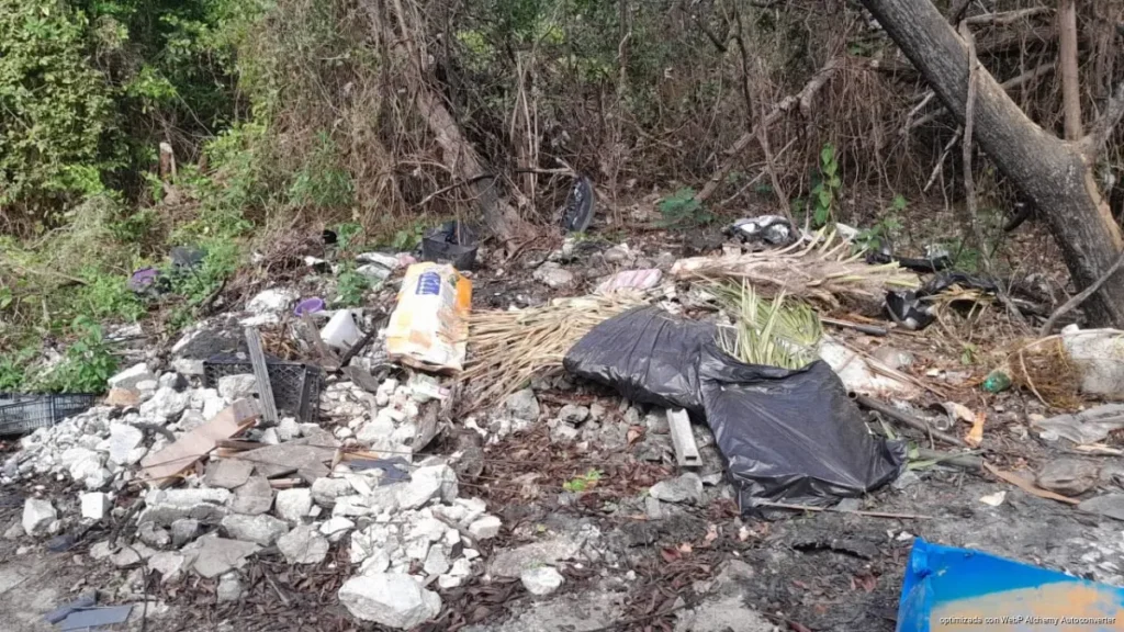 Clausuras y sanciones dejan 100 inspecciones por manejo irregular de la basura en Quintana Roo Clausuras y sanciones dejan 100 inspecciones por manejo irregular de la basura en Quintana Roo