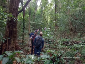 Refuerzan vigilancia de áreas protegidas ante presión urbana Refuerzan vigilancia de áreas protegidas ante presión urbana
