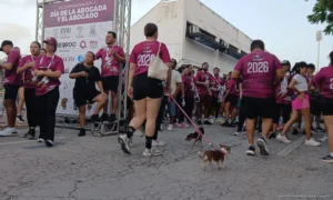 Alistan primera área pet friendly en la Unidad Deportiva Riviera Maya Alistan primera área pet friendly en la Unidad Deportiva Riviera Maya