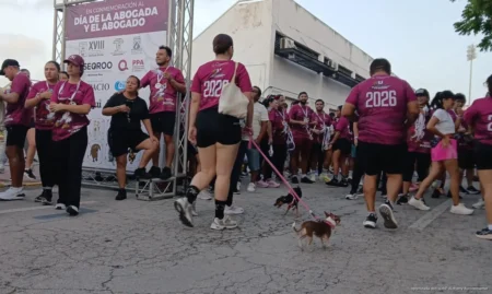 Alistan primera área pet friendly en la Unidad Deportiva Riviera Maya
