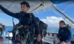 Playa del Carmen busca proteger el buceo con tiburón toro