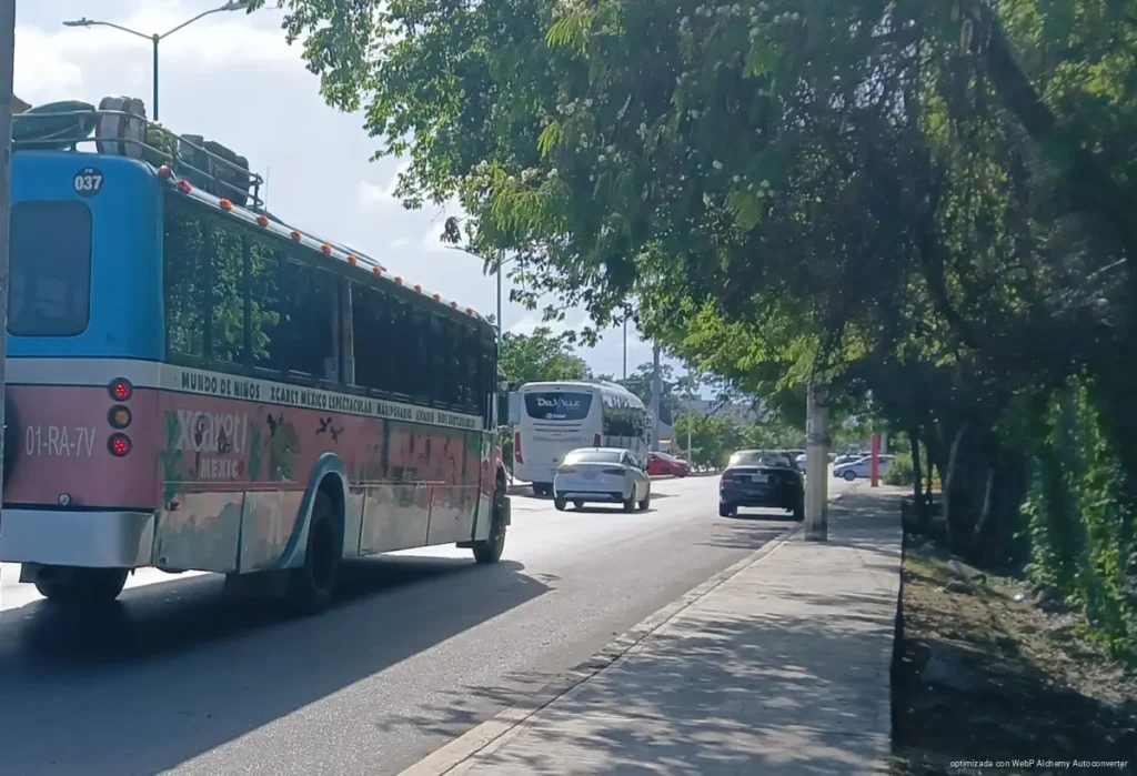 Operadores de transporte piden reforzar controles antidoping Operadores de transporte piden reforzar controles antidoping