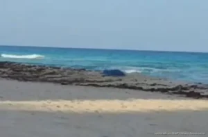 Muere turista británico tras ser arrastrado por el oleaje en Cancún