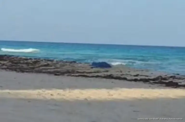 Muere turista británico tras ser arrastrado por el oleaje en Cancún Muere turista británico tras ser arrastrado por el oleaje en Cancún