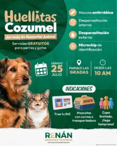 Renán Sánchez Tajonar invita a cozumeleños a la jornada gratuita de bienestar animal en la Colonia San Miguel 1 Renán Sánchez Tajonar invita a cozumeleños a la jornada gratuita de bienestar animal en la Colonia San Miguel 1