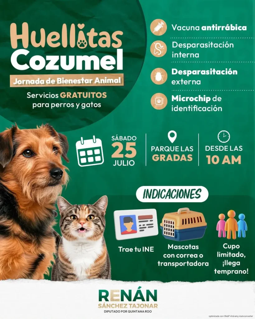 Renán Sánchez Tajonar invita a cozumeleños a la jornada gratuita de bienestar animal en la Colonia San Miguel 1 Renán Sánchez Tajonar invita a cozumeleños a la jornada gratuita de bienestar animal en la Colonia San Miguel 1