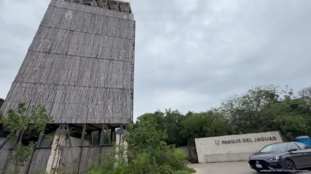 Reorganizan Parque del Jaguar para recuperar economía de Tulum Reorganizan Parque del Jaguar para recuperar economía de Tulum
