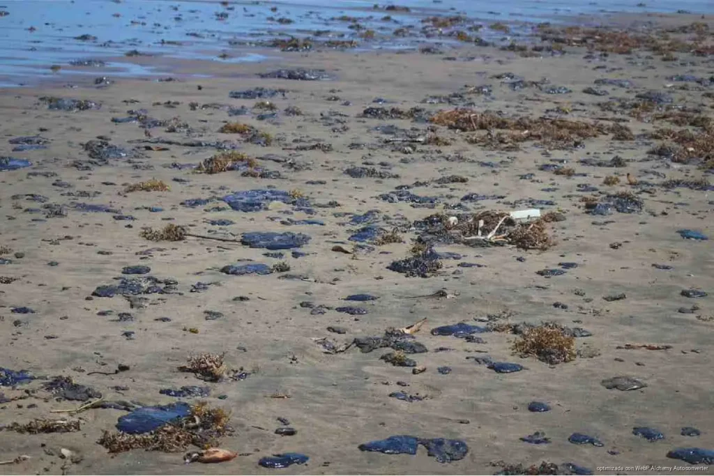 Derrame de Pemex en el Golfo de México: a cuatro meses, pescadores siguen sin diagnóstico oficial