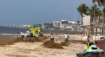 Preparan estímulos fiscales para hoteles que refuercen barreras contra el sargazo