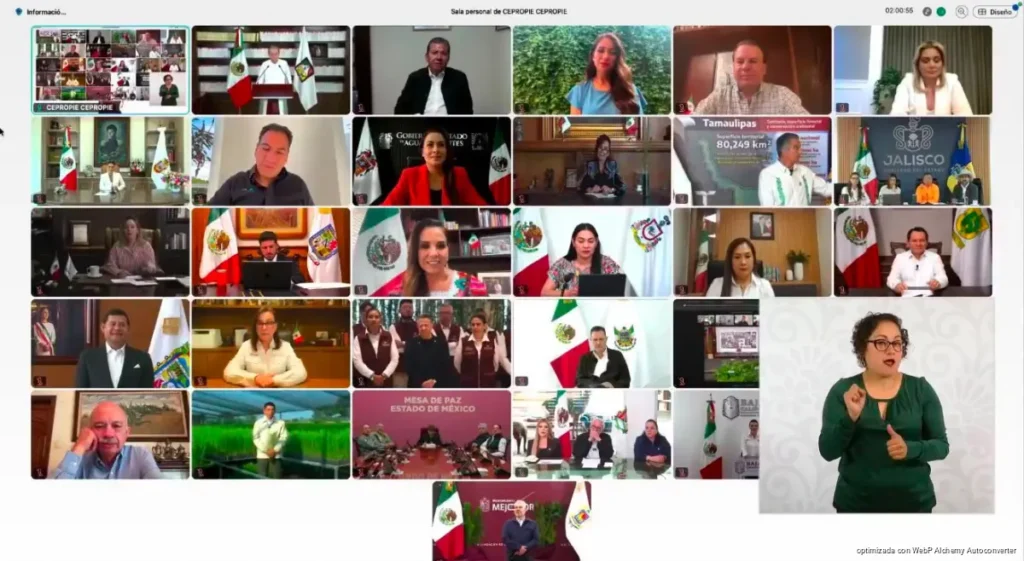 Quintana Roo se suma a la Jornada Nacional de Reforestación 2026 para restaurar ecosistemas en el sur del estado