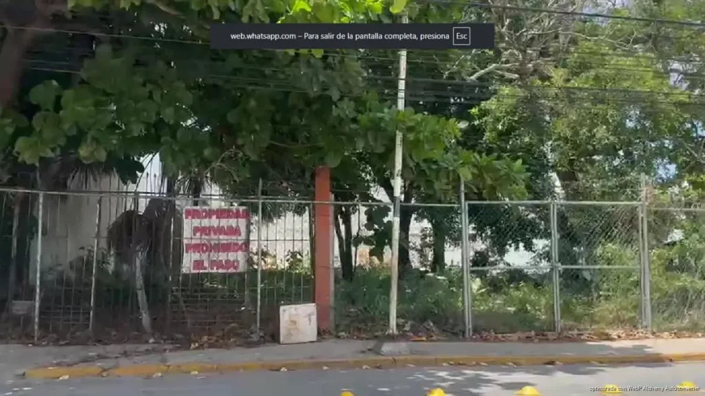 Inician operativo para limpiar predios abandonados en el centro de Playa del Carmen Inician operativo para limpiar predios abandonados en el centro de Playa del Carmen