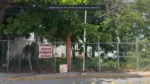 Inician operativo para limpiar predios abandonados en el centro de Playa del Carmen
