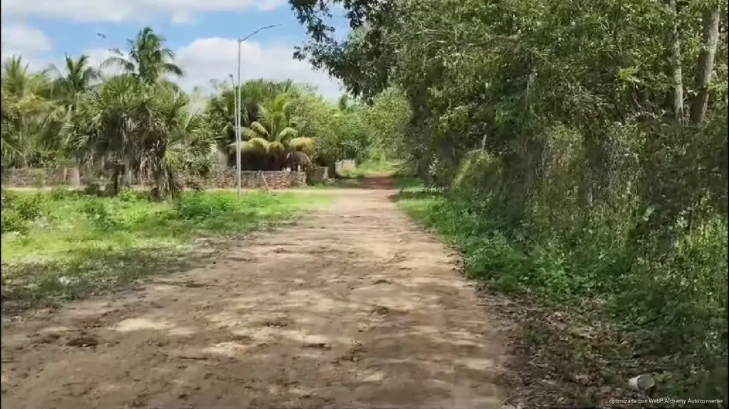 Urgen regularizar 2 mil 600 hectáreas en expansión de JMM