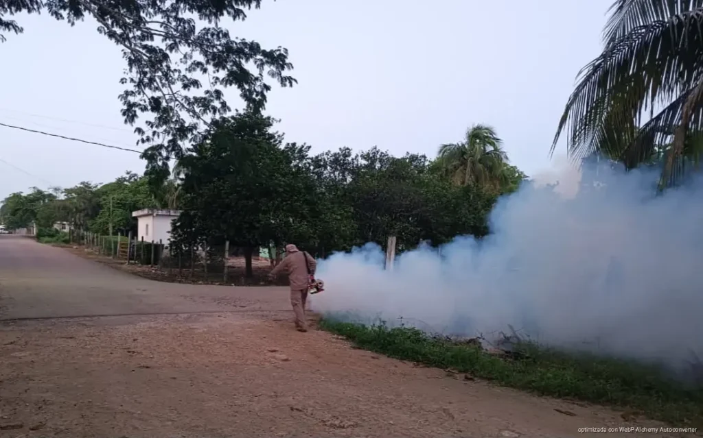 Refuerzan nebulización contra mosquitos en Kantunilkín