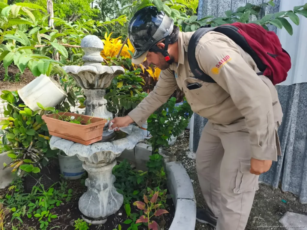 Preparan segunda jornada contra dengue, zika y chikungunya en Cozumel Preparan segunda jornada contra dengue, zika y chikungunya en Cozumel