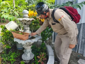 Preparan segunda jornada contra dengue, zika y chikungunya en Cozumel