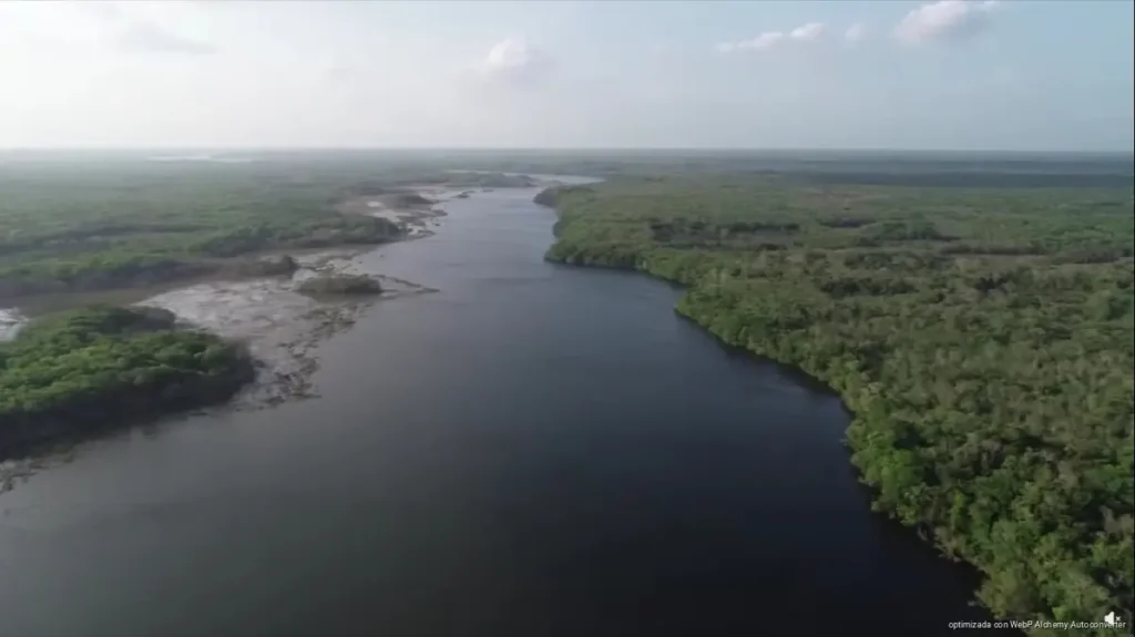 Alertan por presencia de lagartos en zonas apartadas de laguna Chichán K’ana’ab