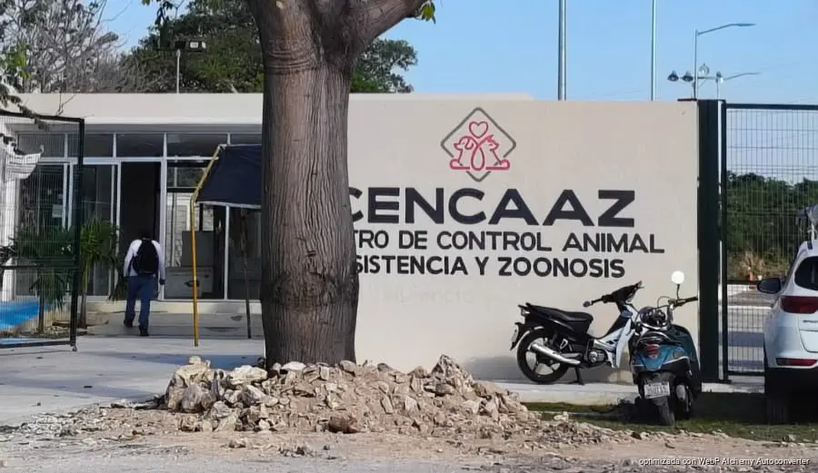 Playa del Carmen avanza hacia la creación de veterinaria municipal con servicios gratuitos y de bajo costo Playa del Carmen avanza hacia la creación de veterinaria municipal con servicios gratuitos y de bajo costo