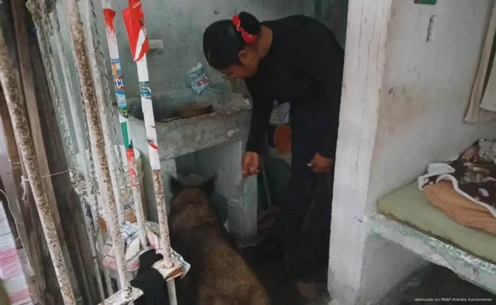 Exhiben privilegios en la cárcel de Chetumal: Celulares, TV y hasta “piedra”