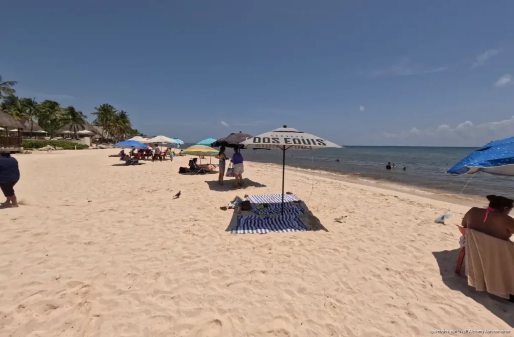 Playa Petrel Norte mantiene condiciones óptimas pese a bandera amarilla de Blue Flag Playa Petrel Norte mantiene condiciones óptimas pese a bandera amarilla de Blue Flag