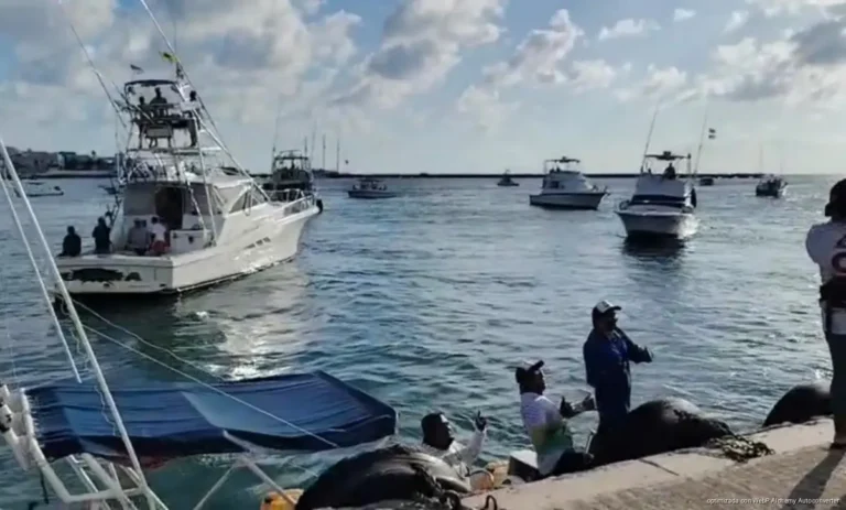 Cozumel recibirá dos torneos de pesca en octubre para atraer visitantes y reforzar sus tradiciones