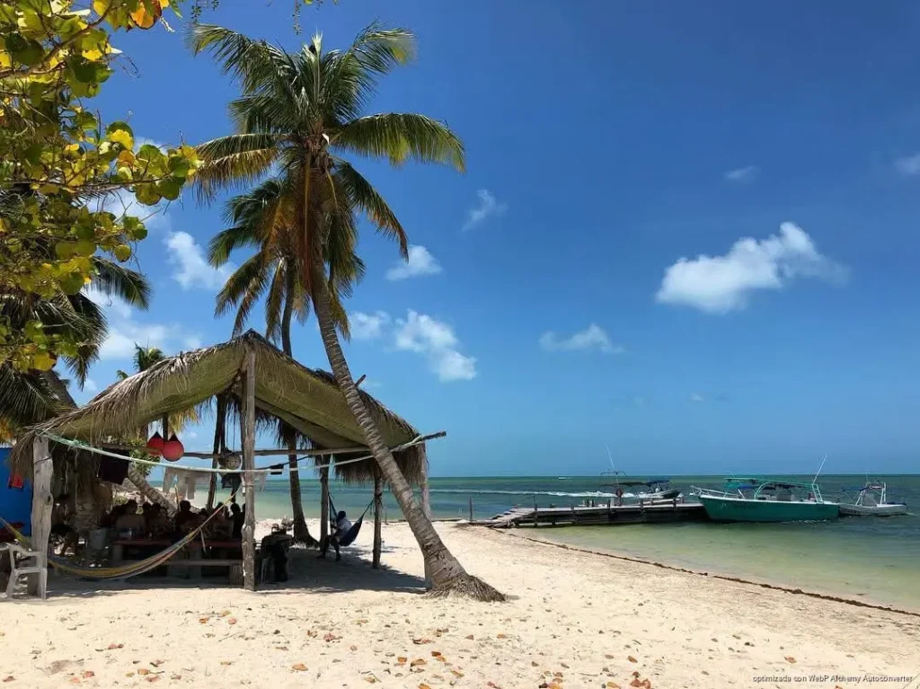 Holbox recupera dunas costeras con sargazo y pasto marino para frenar la erosión