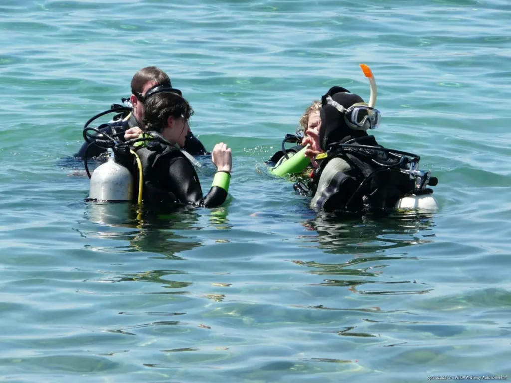 Playa del Carmen resiente caída de turistas y baja la demanda de buceo en verano