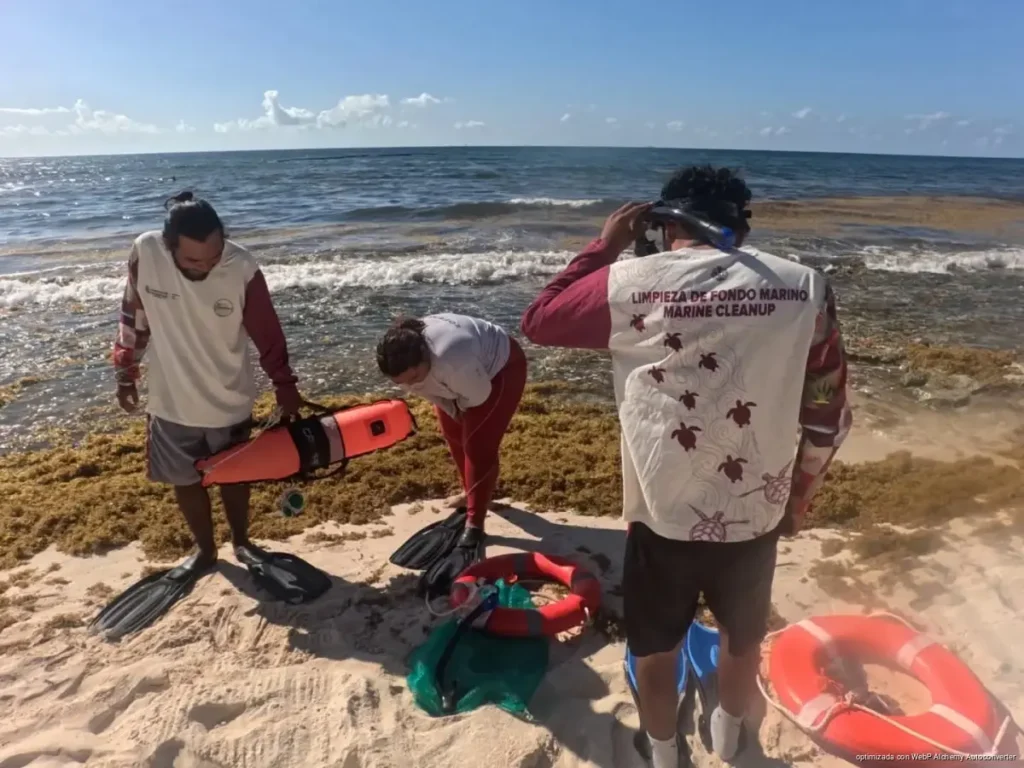 Playas de Playa del Carmen acumulan retiro de 40 kilos de vidrio cada fin de semana Playas de Playa del Carmen acumulan retiro de 40 kilos de vidrio cada fin de semana