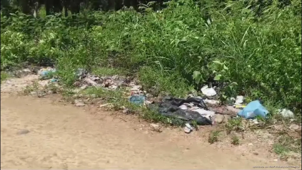 Colonos de José María Morelos denuncian basurero clandestino con animales muertos en la Bicentenario Colonos de José María Morelos denuncian basurero clandestino con animales muertos en la Bicentenario