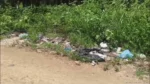 Colonos de José María Morelos denuncian basurero clandestino con animales muertos en la Bicentenario