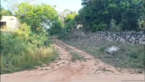 Ejidatarios alertan por concentración de tierras en José María Morelos y piden respetar límite de tres hectáreas Ejidatarios alertan por concentración de tierras en José María Morelos y piden respetar límite de tres hectáreas
