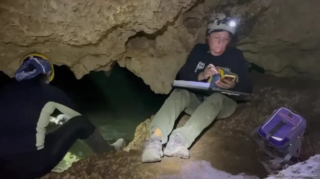 Contaminación afecta al 95% de los cenotes analizados en Playa del Carmen