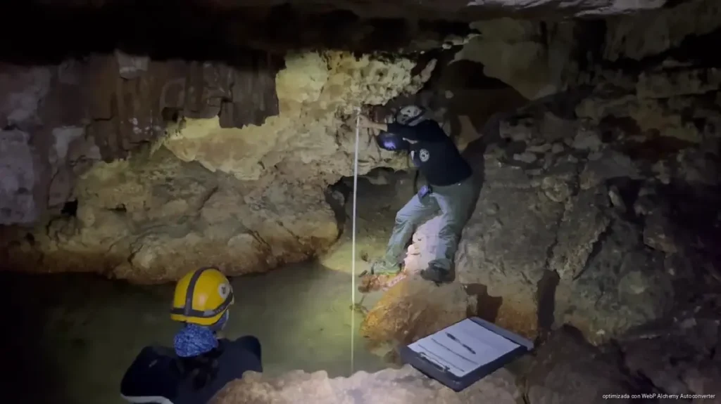 Playa del Carmen reforzará vigilancia en cenotes urbanos ante ocupaciones irregulares Playa del Carmen reforzará vigilancia en cenotes urbanos ante ocupaciones irregulares