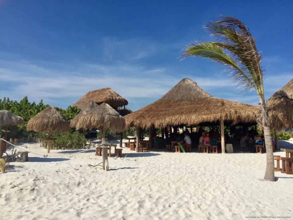 Disminuye el sargazo en Tulum tras superar las 5 mil 600 toneladas recolectadas