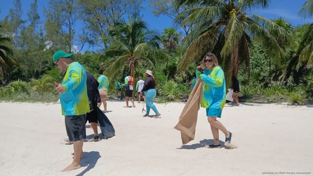 Llantas y desechos ocultos en el fondo marino son retirados por 70 voluntarios en Playa del Carmen Llantas y desechos ocultos en el fondo marino son retirados por 70 voluntarios en Playa del Carmen