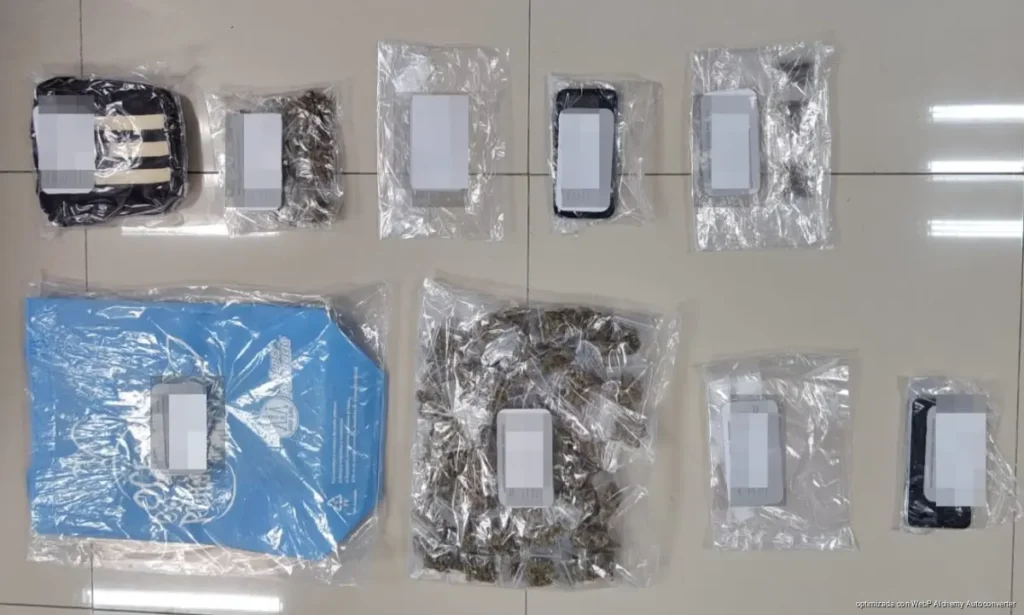 Aseguran 167 dosis de presuntas drogas durante operativo en Cancún