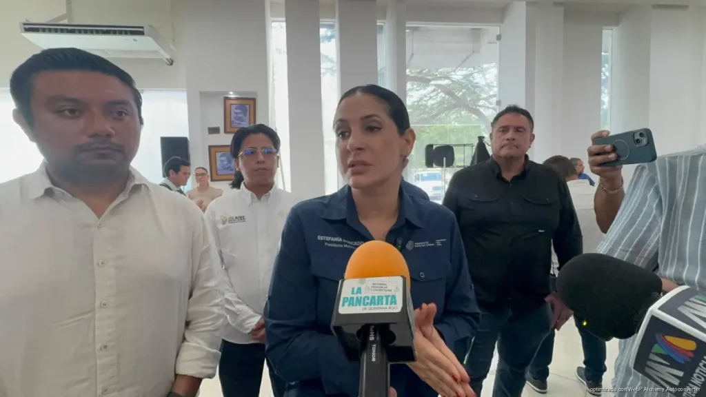 Playa del Carmen busca participación en los 2,600 mdp federales contra el sargazo Playa del Carmen busca participación en los 2,600 mdp federales contra el sargazo