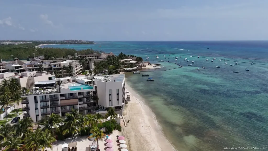 20 mil toneladas de arena recuperada del sargazo podrían volver a playas de Playa del Carmen 20 mil toneladas de arena recuperada del sargazo podrían volver a playas de Playa del Carmen