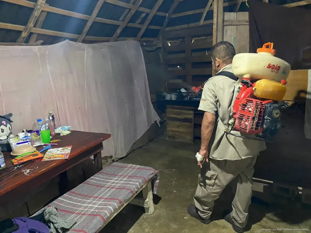 Playa del Carmen refuerza prevención contra el dengue pese a no registrar casos sospechosos Playa del Carmen refuerza prevención contra el dengue pese a no registrar casos sospechosos