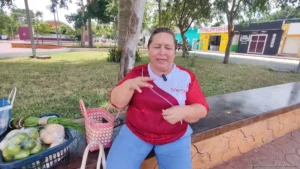 Semillas mayas de Quintana Roo destacan por sus nutrientes y estudian su potencial ante la diabetes Semillas mayas de Quintana Roo destacan por sus nutrientes y estudian su potencial ante la diabetes