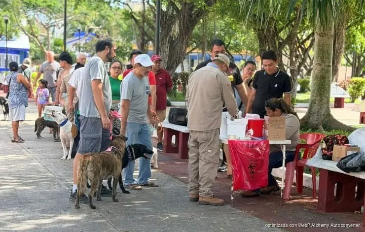 Cozumel aplicará 3 mil vacunas antirrábicas para acercarse a la meta de 10 mil en 2026 Cozumel aplicará 3 mil vacunas antirrábicas para acercarse a la meta de 10 mil en 2026