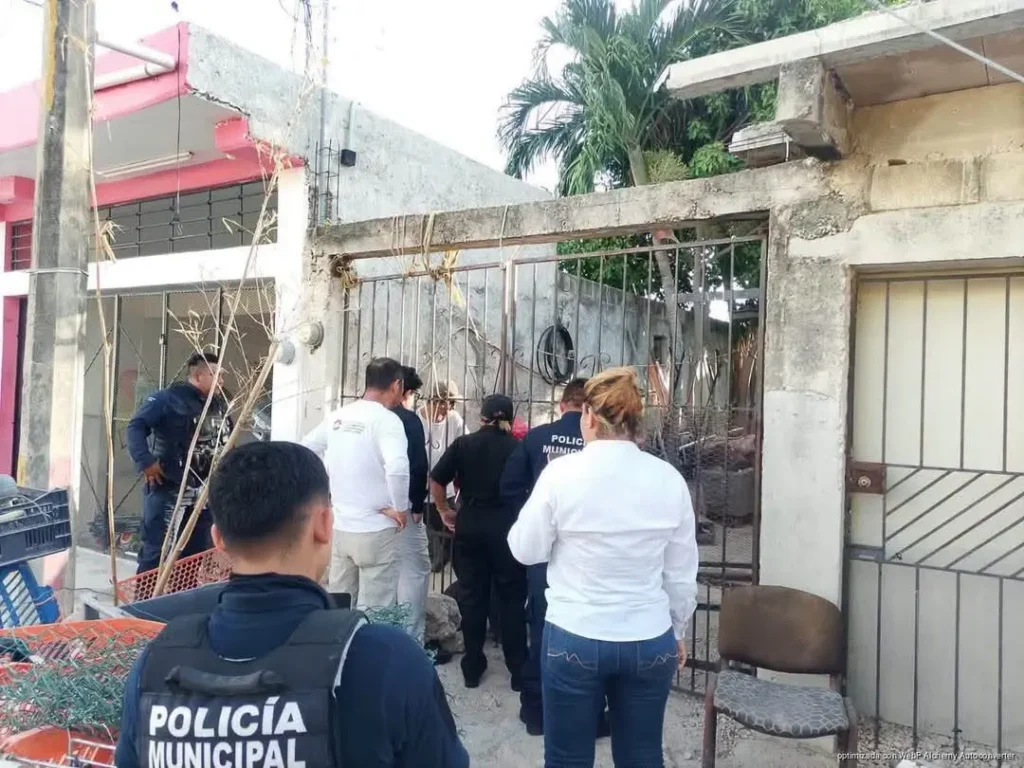 Denuncia por maltrato deriva en el rescate de 13 perros en Cancún