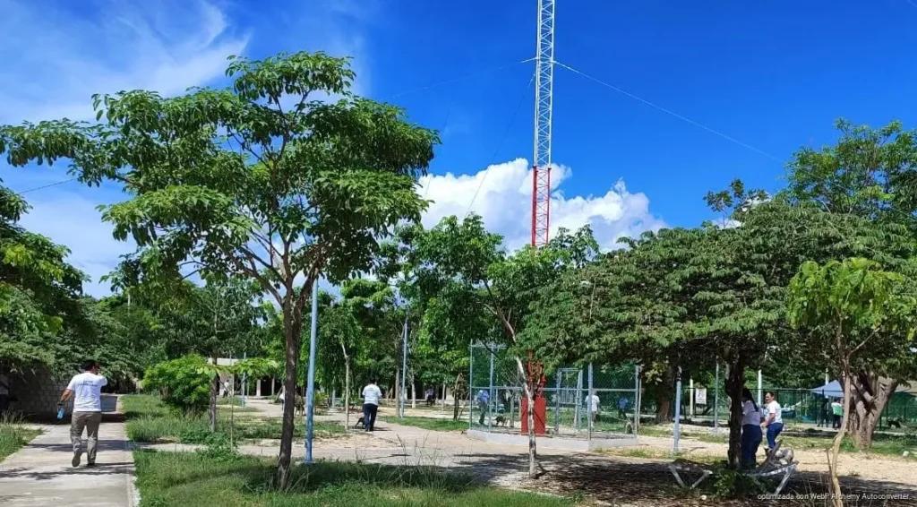 Hasta 20 sancionados al día realizan servicio comunitario en Playa del Carmen Hasta 20 sancionados al día realizan servicio comunitario en Playa del Carmen