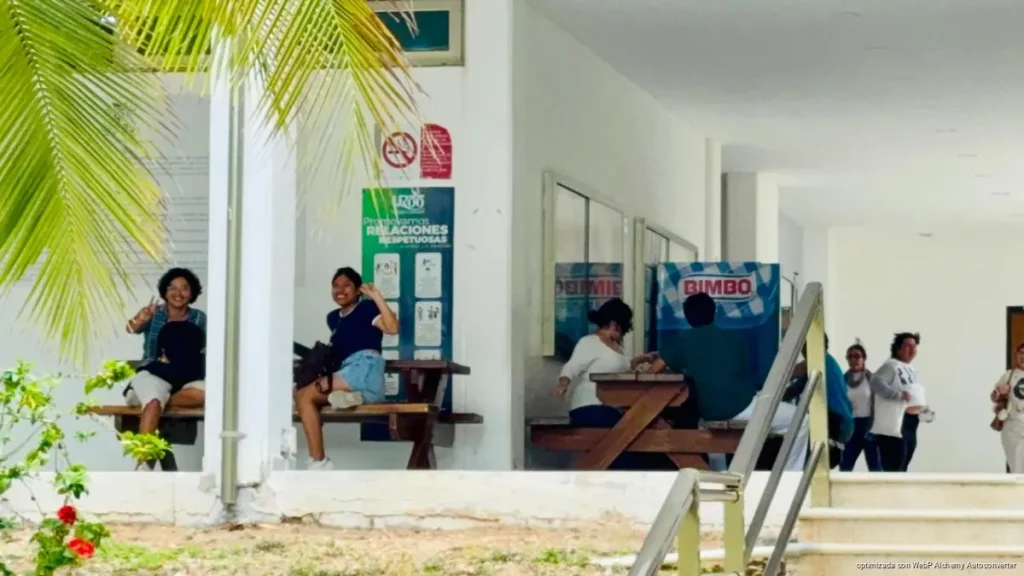 Playa del Carmen amplía el registro para transporte universitario Playa del Carmen amplía el registro para transporte universitario