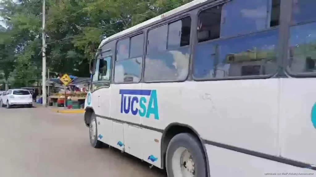 TUCSA reduce sus autobuses a 56 para el transporte público de Playa del Carmen