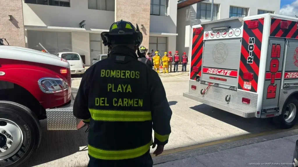 Incendios en Playa del Carmen crecen hasta 4% por descuidos y quemas fuera de control Incendios en Playa del Carmen crecen hasta 4% por descuidos y quemas fuera de control
