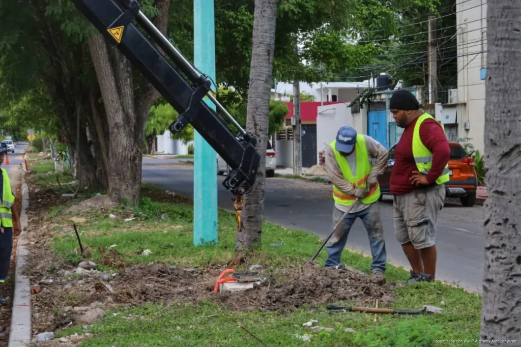 Ayuntamiento de OPB inicia la renovación total del alumbrado de la avenida Reforma Ayuntamiento de OPB inicia la renovación total del alumbrado de la avenida Reforma