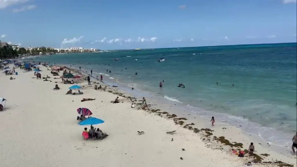 Playa del Carmen renovará ocho playas Blue Flag y prepara dos nuevas certificaciones Playa del Carmen renovará ocho playas Blue Flag y prepara dos nuevas certificaciones