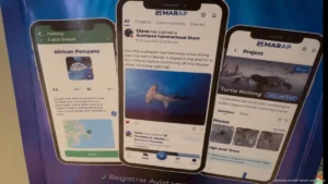 Aplicación MARAP abre reportes anónimos sobre daños ambientales en Playa del Carmen