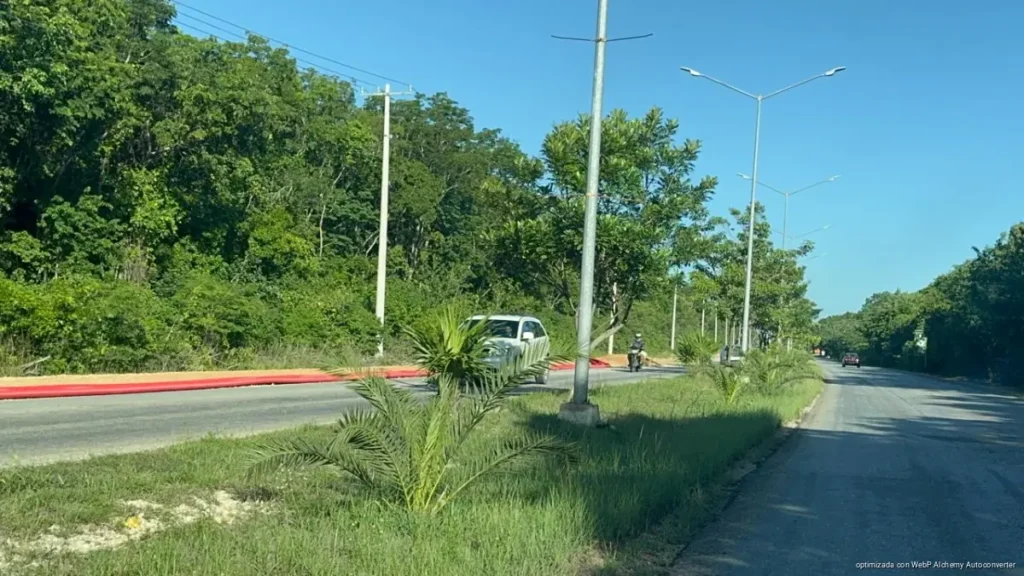 Cinco áreas naturales de Playa del Carmen enfrentan desmontes por crecimiento urbano